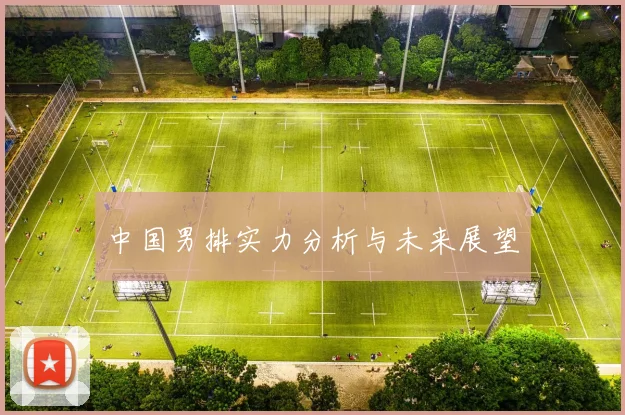 中国男排实力分析与未来展望