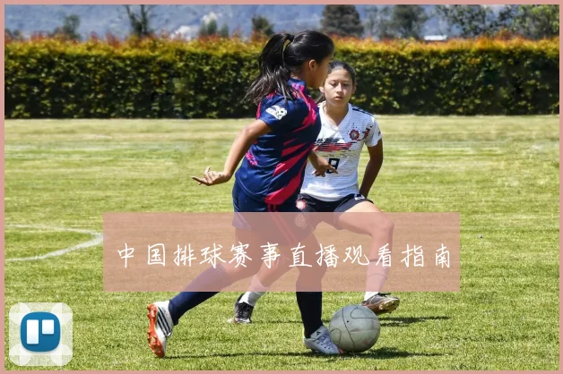 中国排球赛事直播观看指南