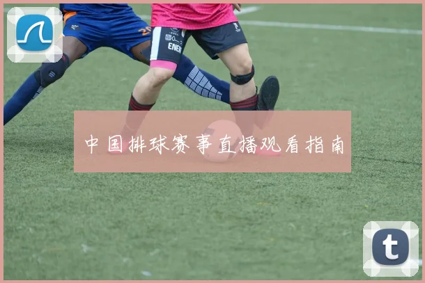 中国排球赛事直播观看指南