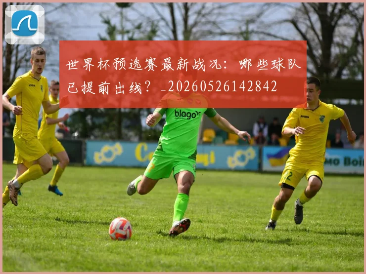 世界杯预选赛最新战况：哪些球队已提前出线？_20260526142842